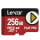 Karta pamięci Lexar PLAY Pro Express 7.1 256GB
